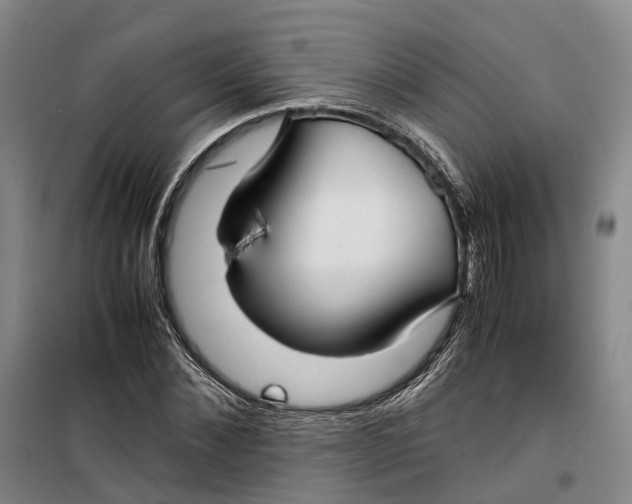 X0000099460876200805301532