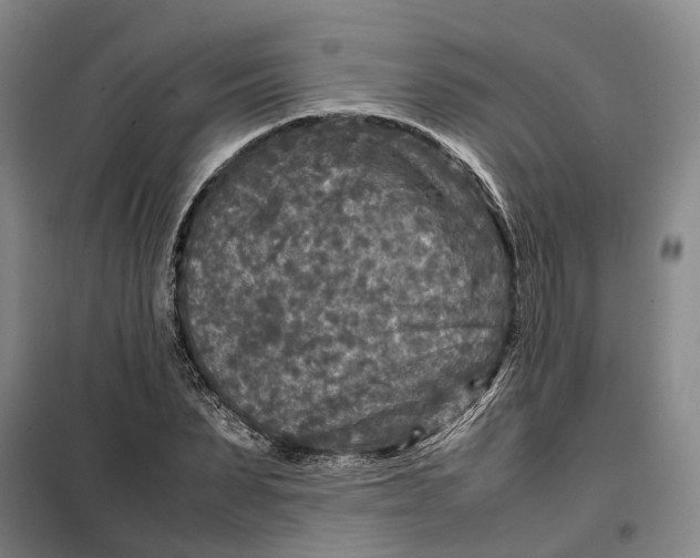 X0000099460879200805301532