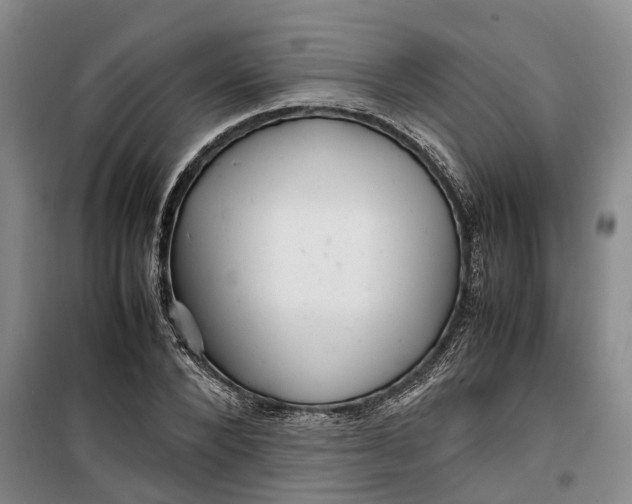 X0000099460880200805301532