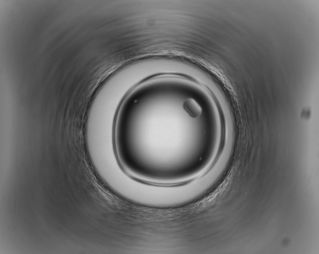 X0000099460881200805301532