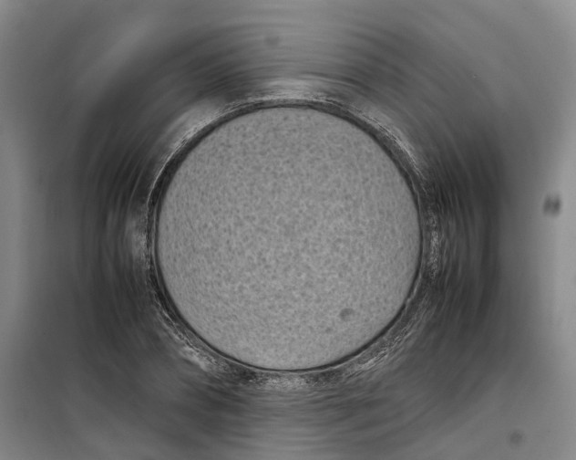 X0000099460882200805301532