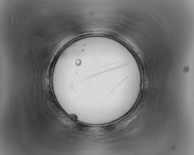 X0000099460883200805301532