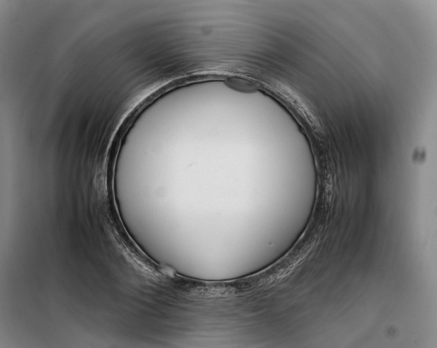 X0000099460884200805301532