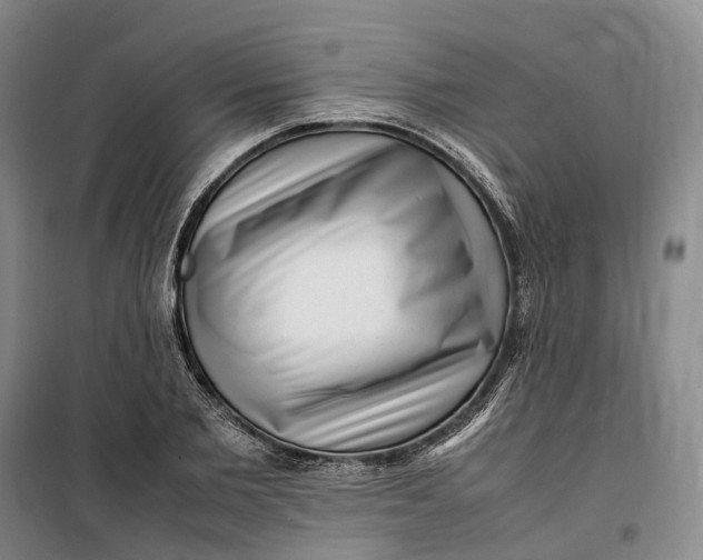 X0000099460885200805301532