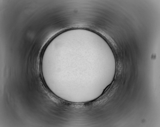 X0000099460886200805301532