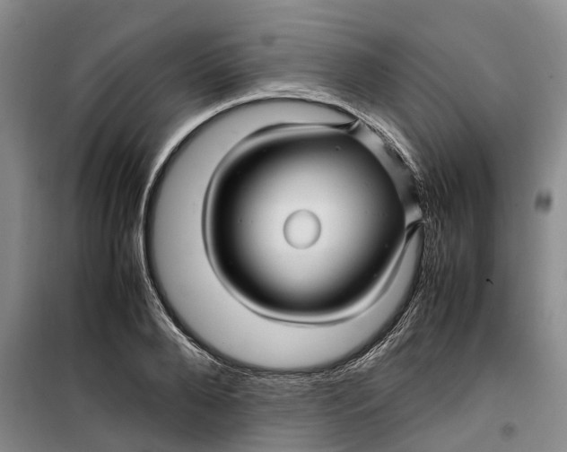 X0000099460888200805301532