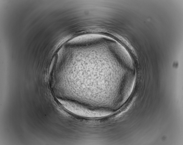 X0000099460889200805301532