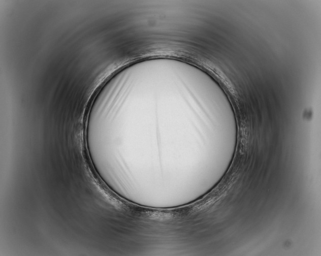 X0000099460890200805301532