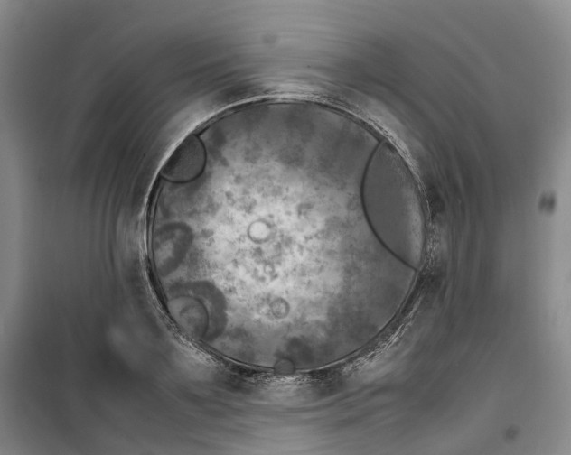 X0000099460891200805301532