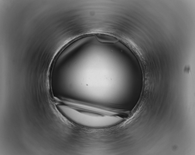 X0000099460892200805301532