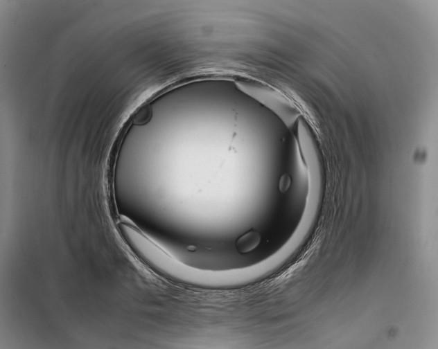 X0000099460893200805301532