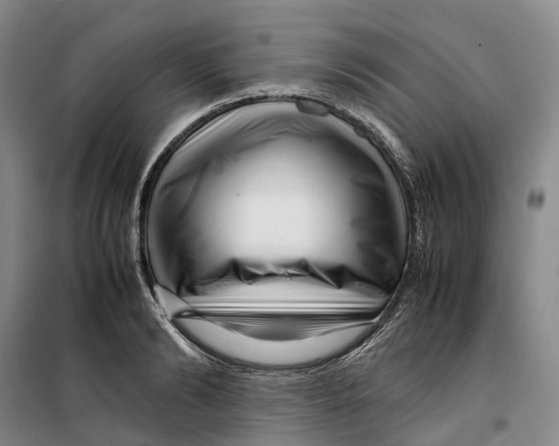 X0000099460894200805301532