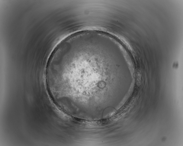 X0000099460895200805301532