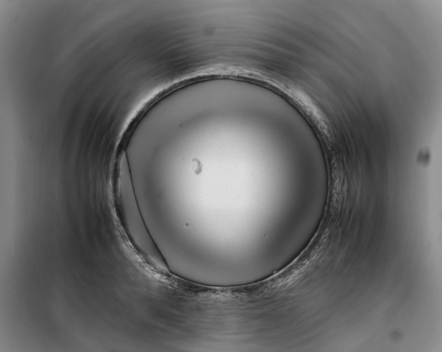 X0000099460896200805301532