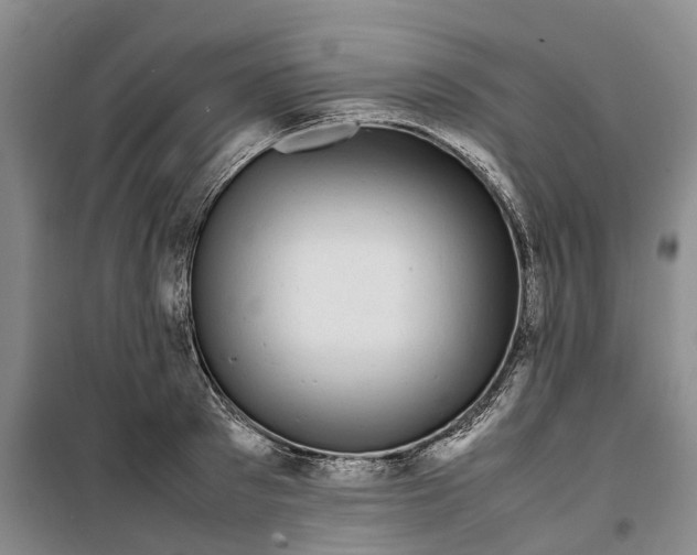 X0000099460897200805301532