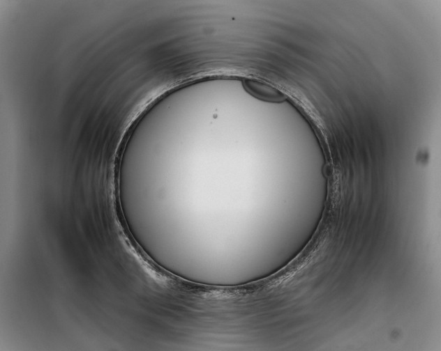 X0000099460898200805301532