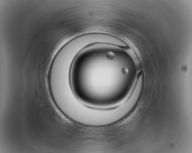 X0000099460901200805301532