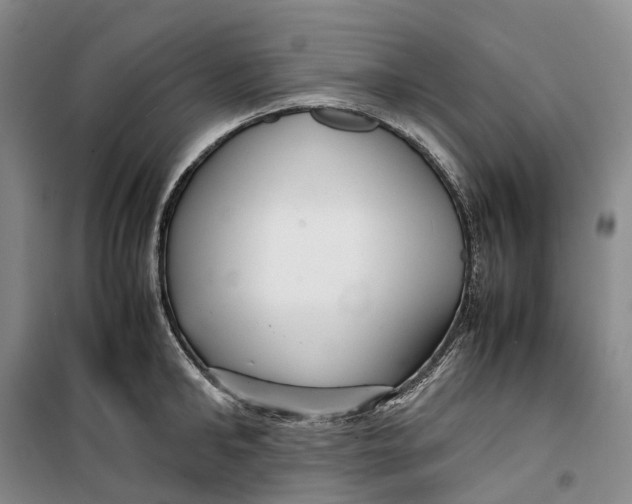 X0000099460902200805301532