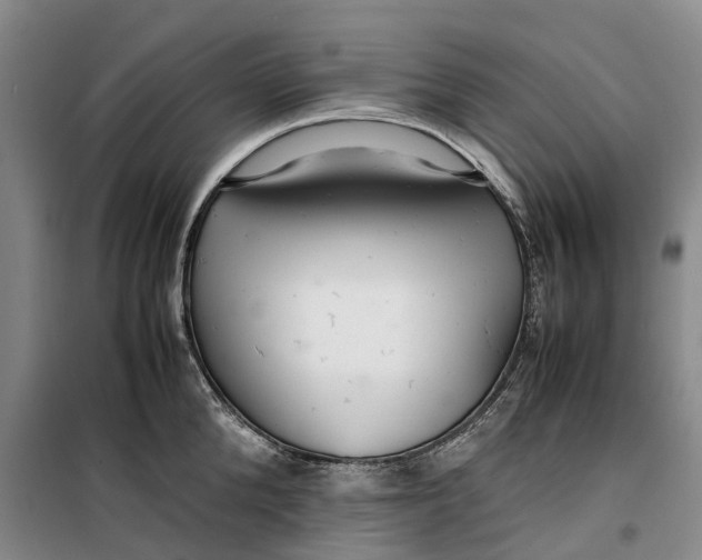 X0000099460904200805301532