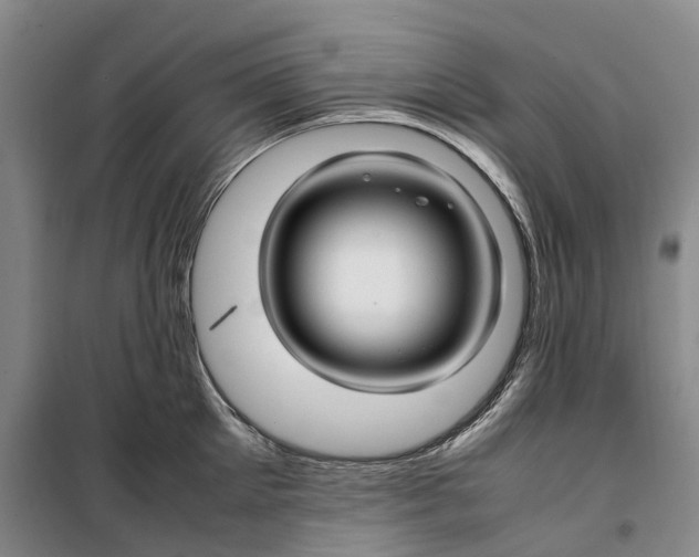 X0000099460905200805301532