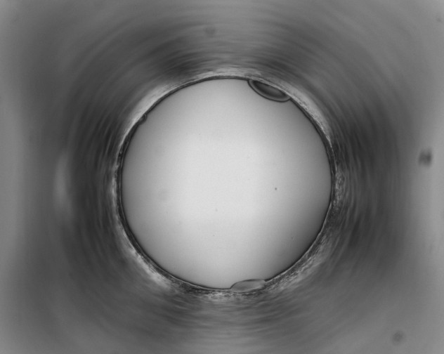 X0000099460906200805301532