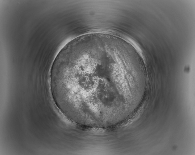 X0000099460907200805301532