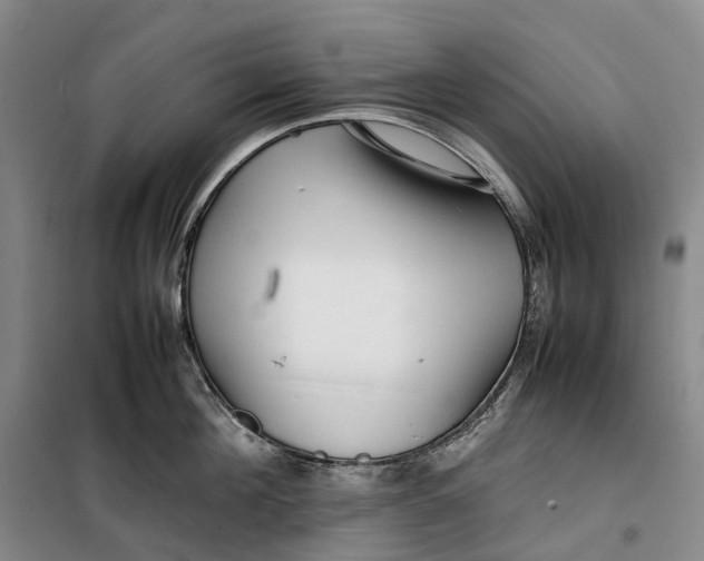 X0000099460908200805301532