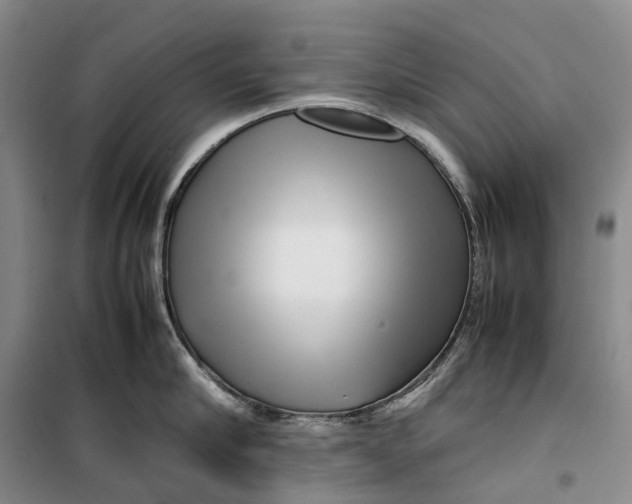 X0000099460910200805301532