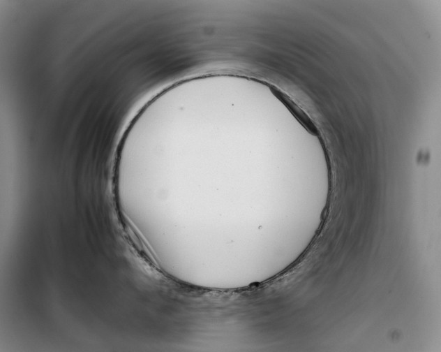 X0000099460912200805301532