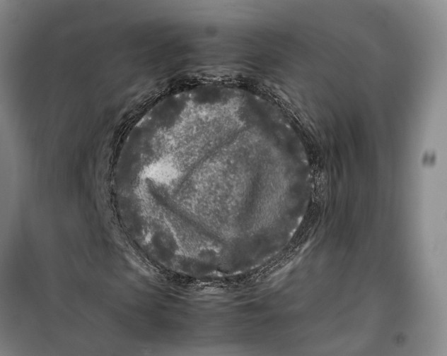 X0000099460913200805301531