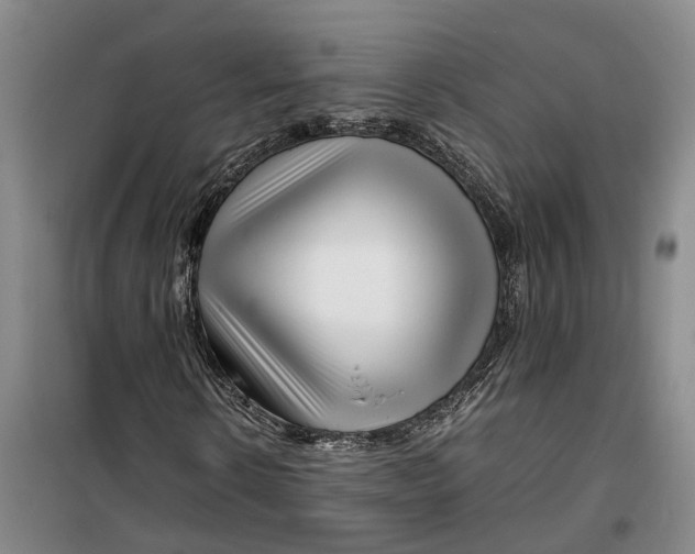 X0000099460914200805301531