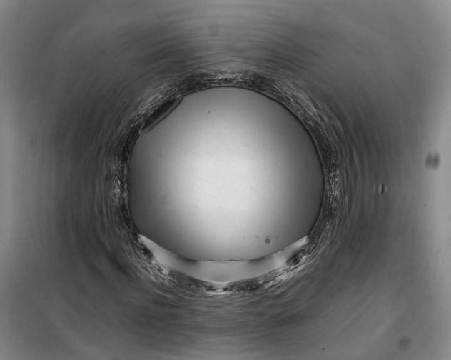 X0000099460916200805301531