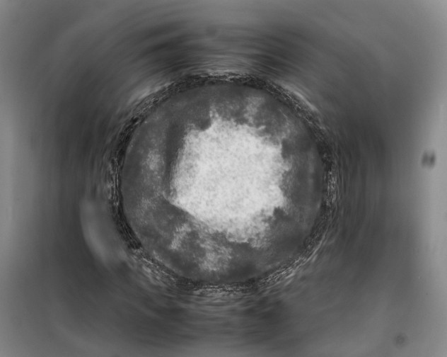 X0000099460917200805301531