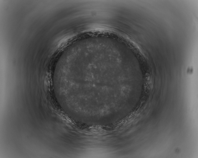 X0000099460918200805301531