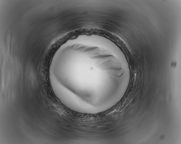 X0000099460919200805301531