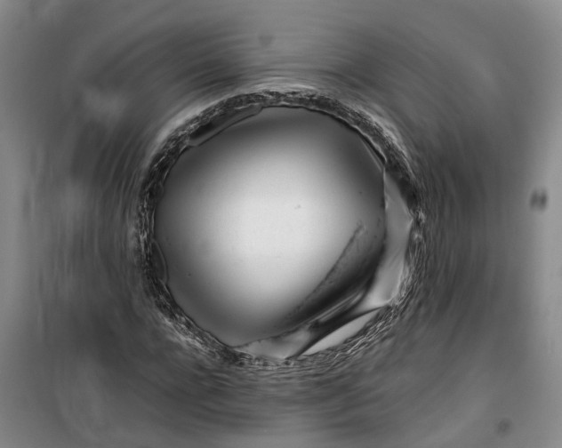 X0000099460920200805301531