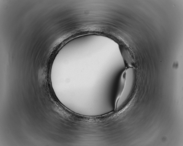 X0000099460922200805301531