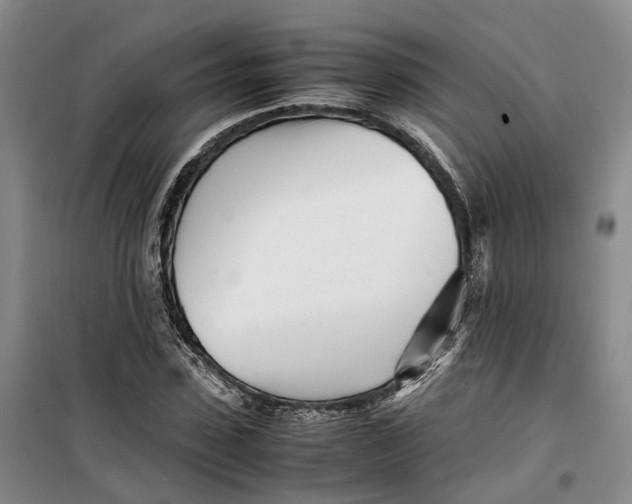 X0000099460923200805301531