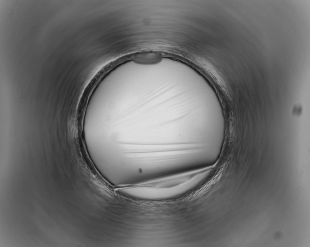 X0000099460924200805301531