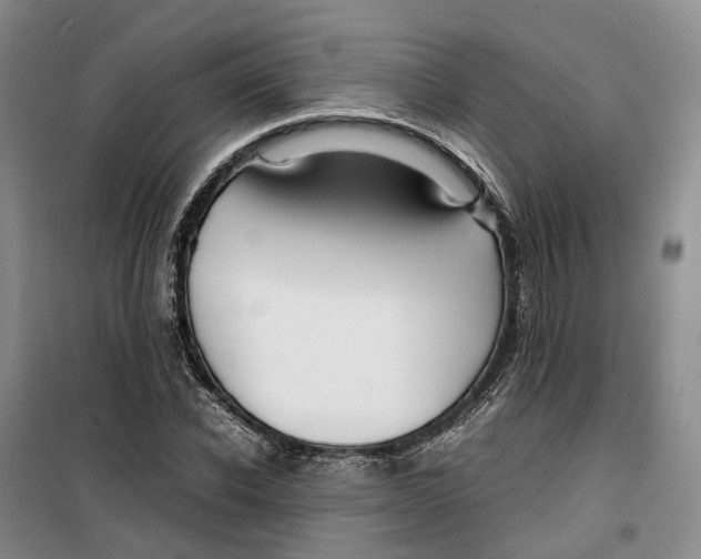 X0000099460926200805301531