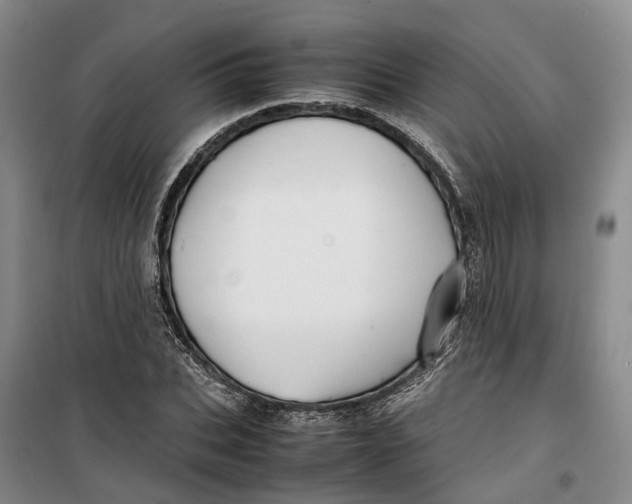 X0000099460927200805301531