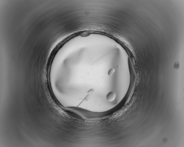 X0000099460928200805301531