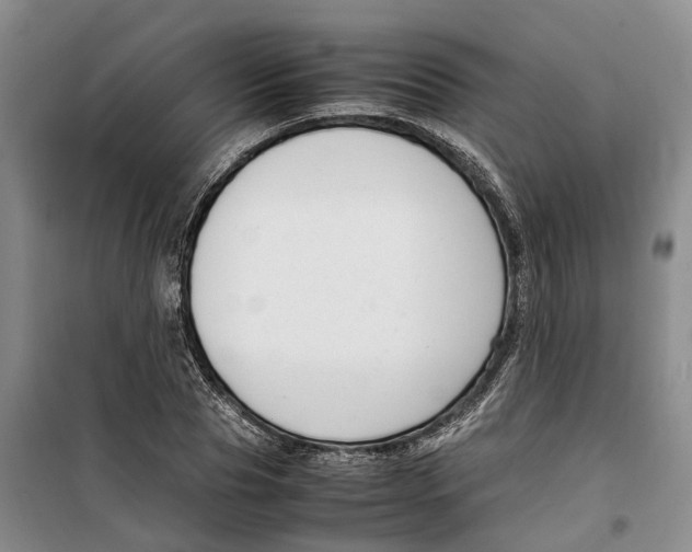 X0000099460929200805301531