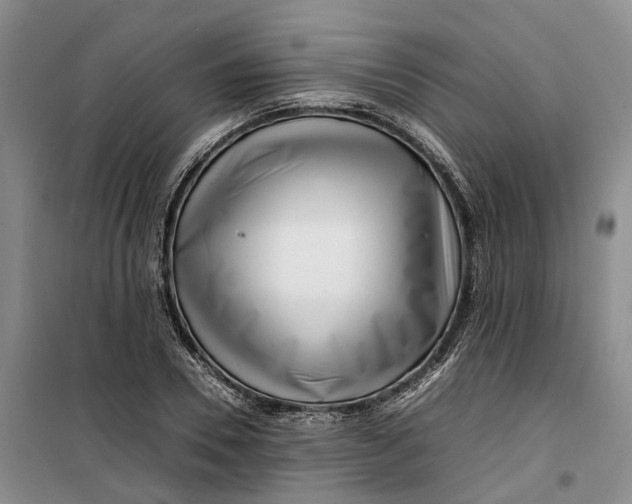 X0000099460930200805301531