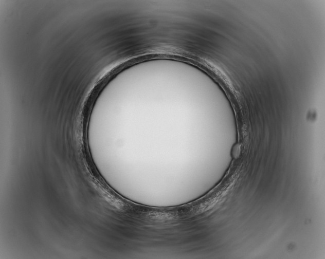 X0000099460931200805301531