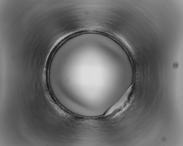 X0000099460932200805301531