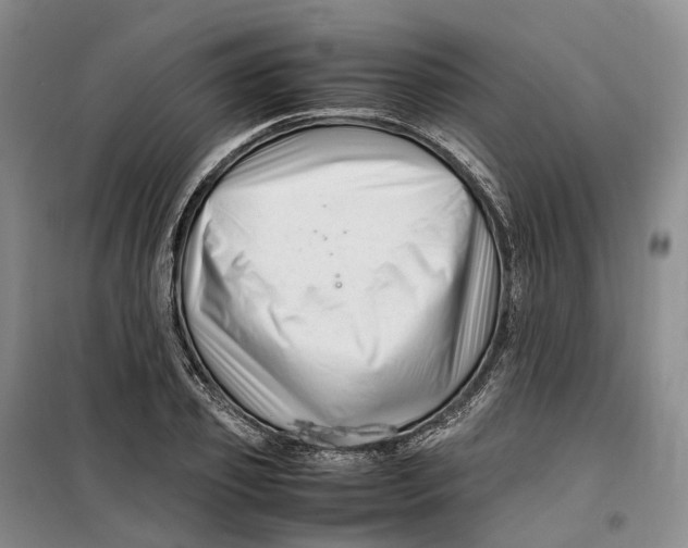 X0000099460933200805301531