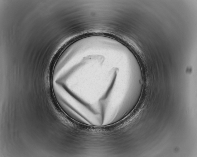 X0000099460934200805301531