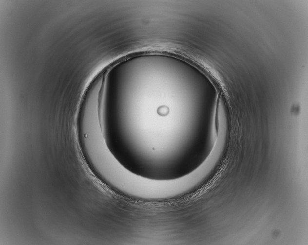 X0000099460936200805301531