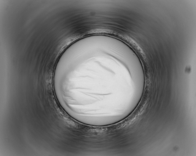 X0000099460937200805301531